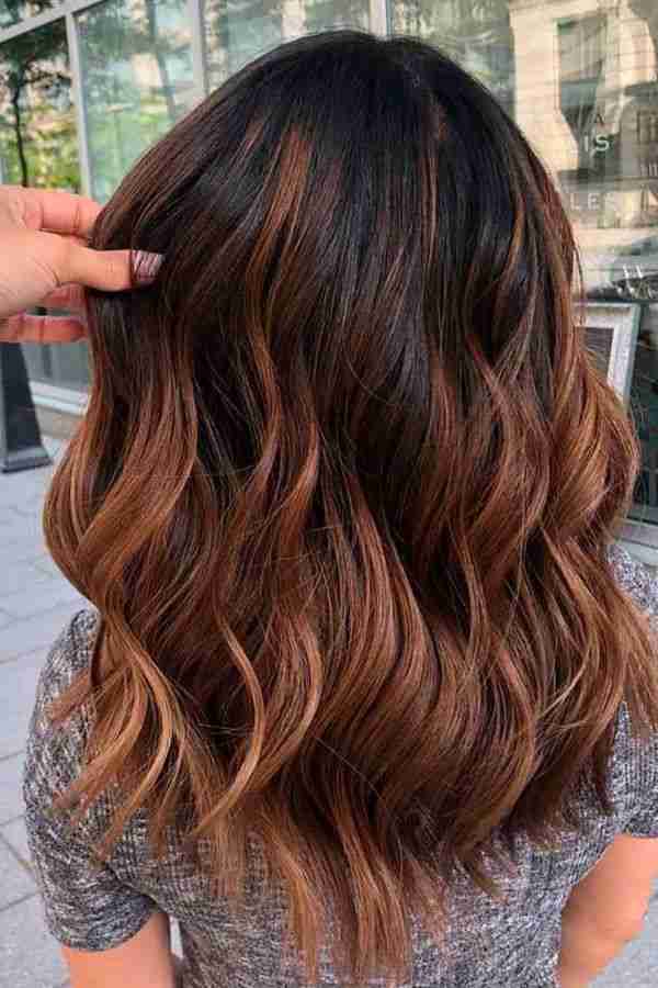 chestnut-brown Chestnut Brown