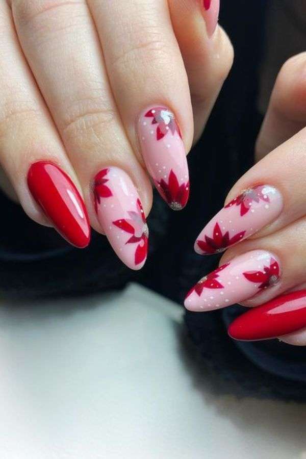 Red Poinsettias