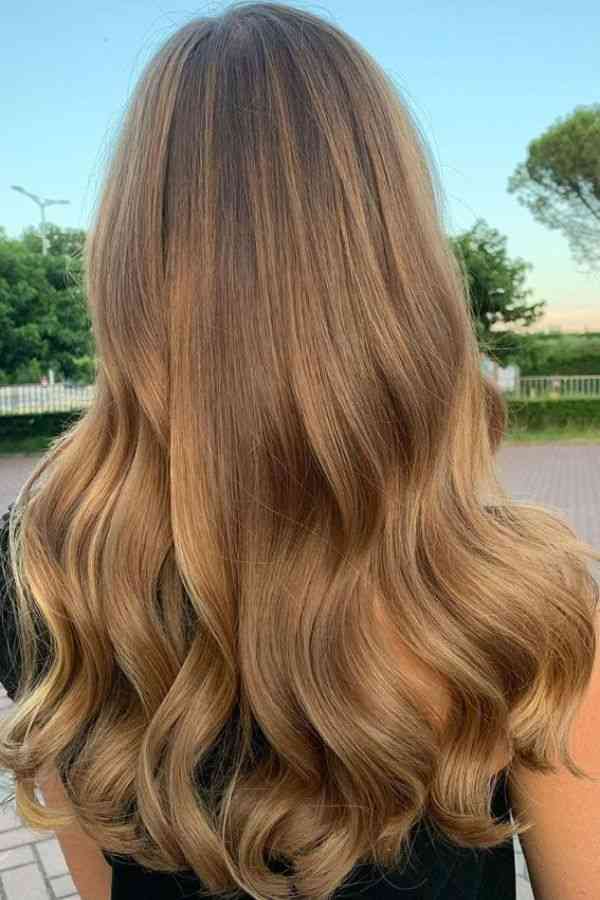 sandy-blonde-blend Sandy Blonde Blend